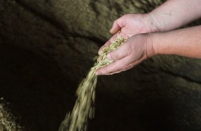 Пока есть время