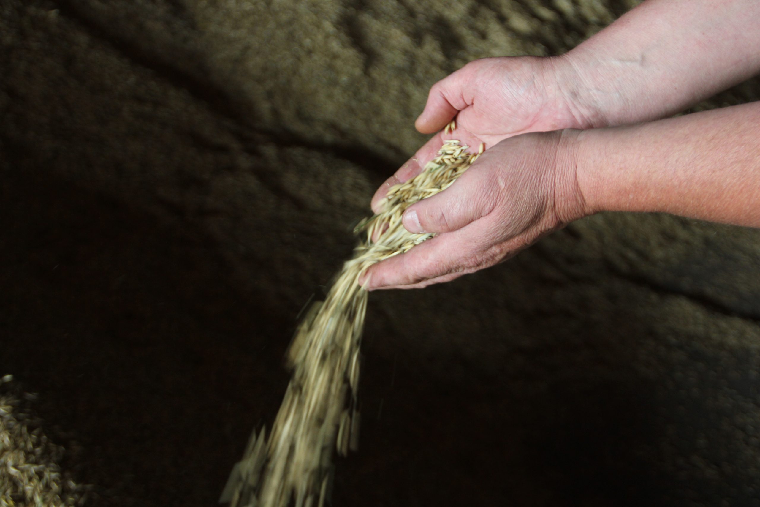 Финиш близко