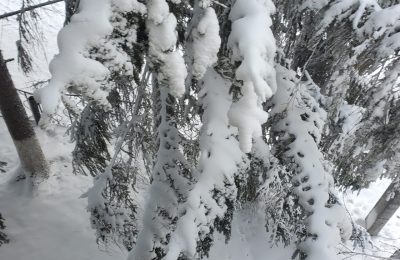 В два раза больше нормы: в Новосибирской области побиты рекорды по количеству снега в ноябре