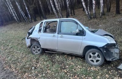 В Мошковском районе произошло смертельное дорожно-транспортное происшествие