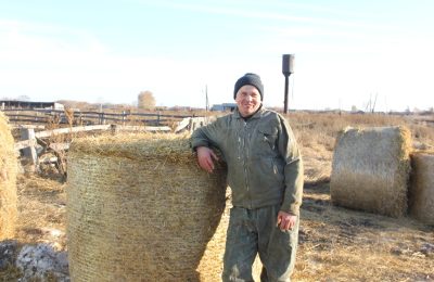 Мастер машинного доения