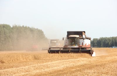 Рекордный урожай-2025