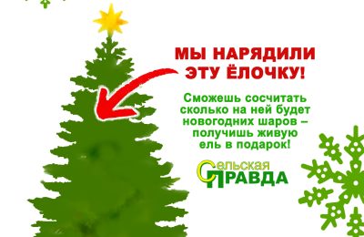 Подарим 3 ёлки внимательным подписчикам!