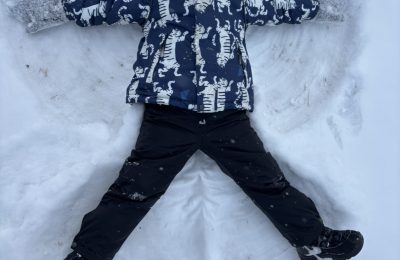 Зимняя фотоохота