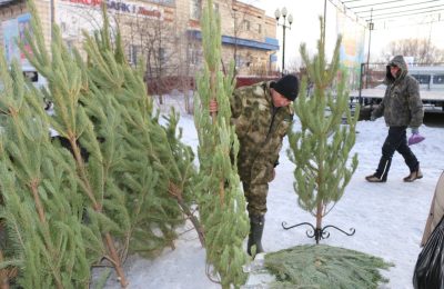 Область готовится к новогодним ярмаркам