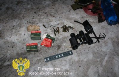 В Новосибирской области осуждены двое мужчин за незаконную охоту