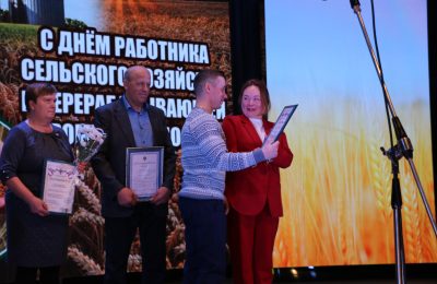 Урожай успеха