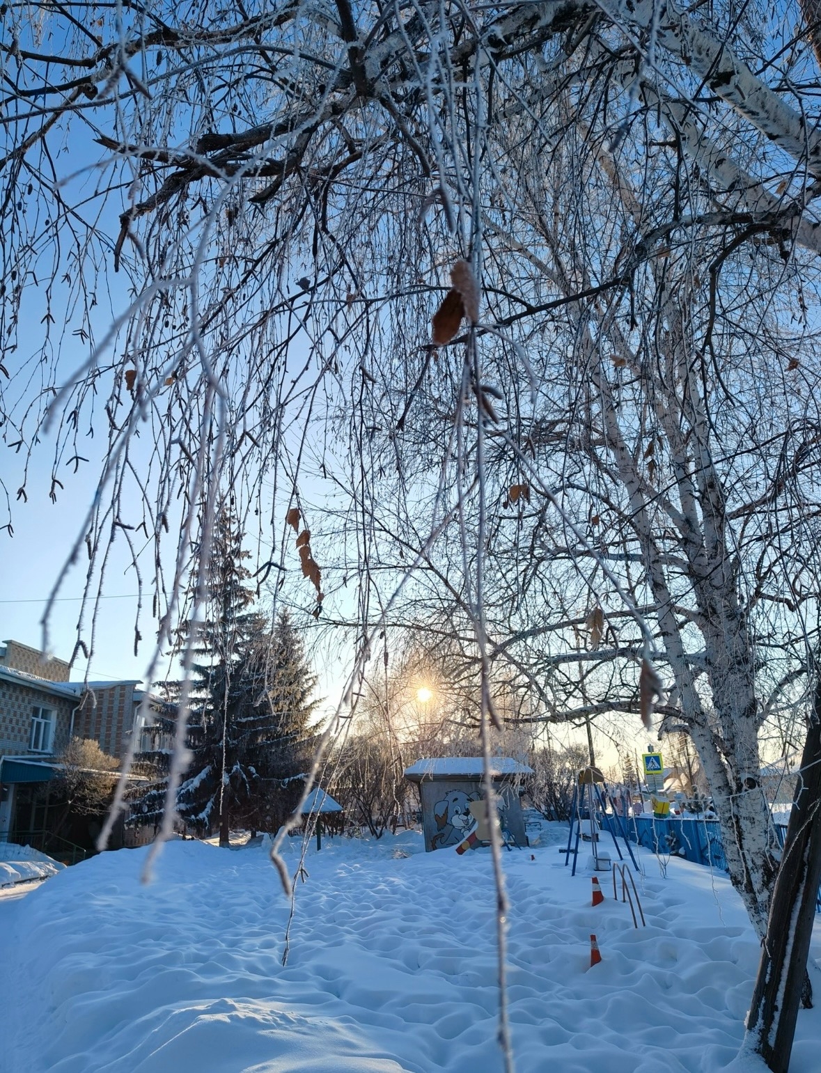 Февраль: морозно и снежно