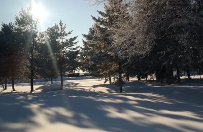 МЧС России: откажитесь от прогулок в морозы