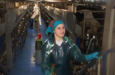 Задачи выполнили, цели достигли