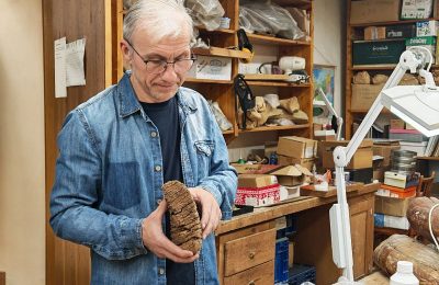 Почему погибли мамонты Сибири — зубы дали ключ к разгадке