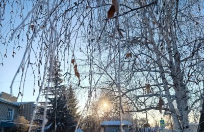 Февраль: морозно и снежно