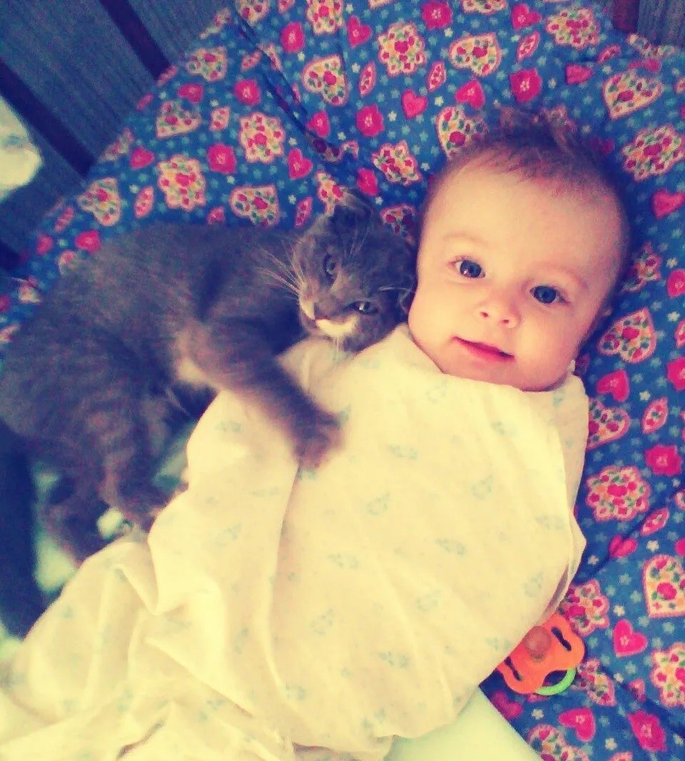 Я и мой «хвост»!