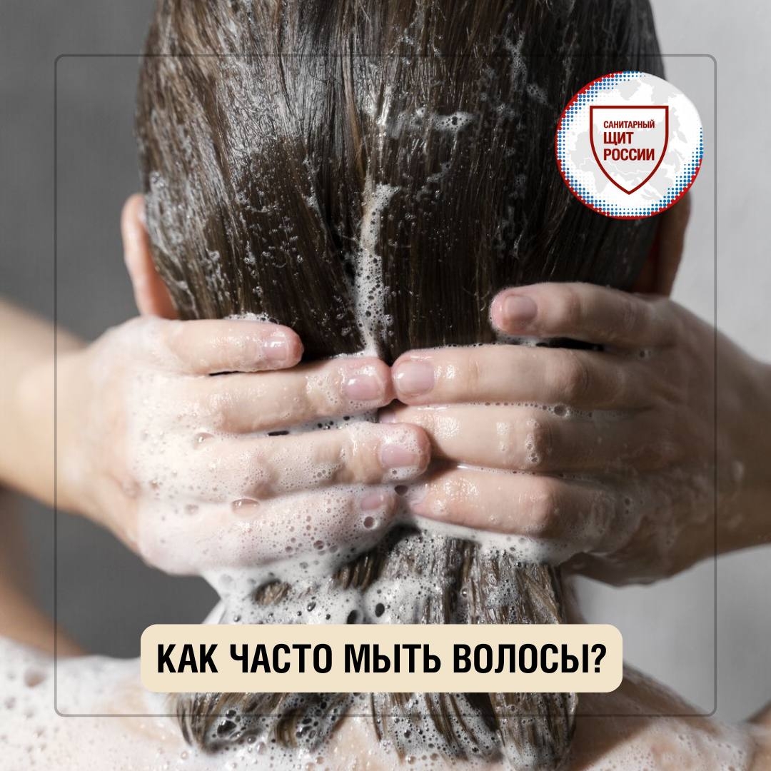 Как часто мыть голову?