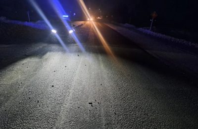 В Краснозёрском районе в результате ДТП погиб пешеход