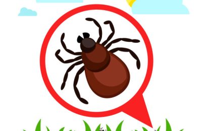 Особенности охоты на человека: как не стать жертвой клеща