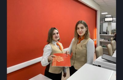 Жизненные ситуации: получение социально значимых услуг в Новосибирской области стало проще и быстрее