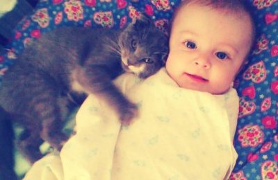 Я и мой «хвост»!