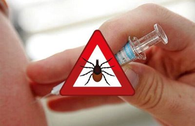 Сезон клещей: как защититься