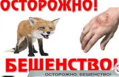 Очаг бешенства