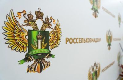 Специалисты Сибирского межрегионального управления Россельхознадзора не допустили перевозку 398 сельскохозяйственных животных без документов