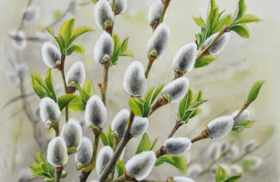 Дорога к храму