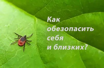 Как обезопасить себя и близких на даче и природе, рассказали специалисты ЦОК АПК