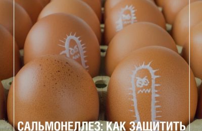 Сальмонеллез: как защитить организм от инфекции