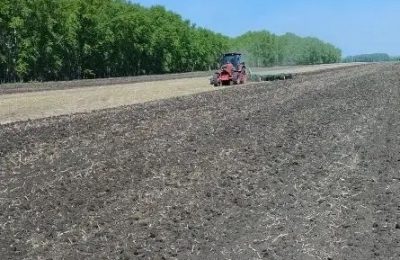 Посевная идёт