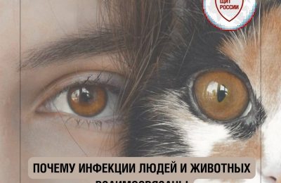Почему инфекции людей и животных взаимосвязаны?