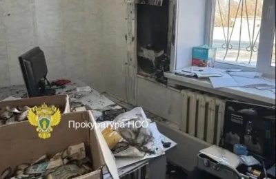 В Новосибирской области женщина осуждена за присвоение вверенных денежных средств в сумме свыше 2,9 млн рублей