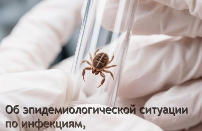 Более 6 тысяч жителей региона укусили клещи в 2026 году
