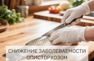 Как не допустить описторхоза: простые правила
