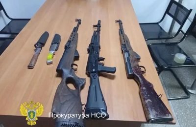 Трое в машине, не считая косуль: в Новосибирской области трое мужчин предстанут перед судом за незаконную охоту