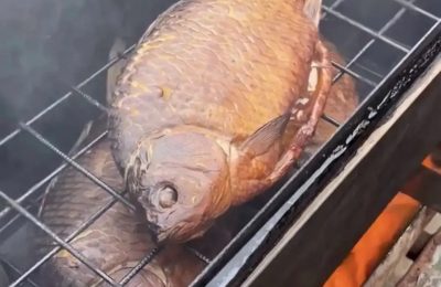 Июньский сазанчик