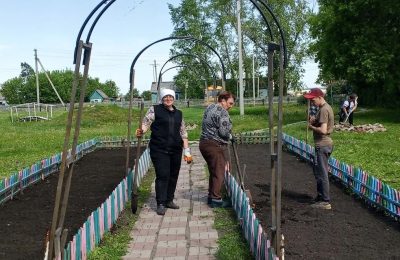 Порядок на своей «планете»