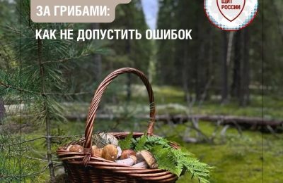 Чек-лист грибника