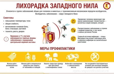 Лихорадка Западного Нила: болезнь с экзотическим названием!