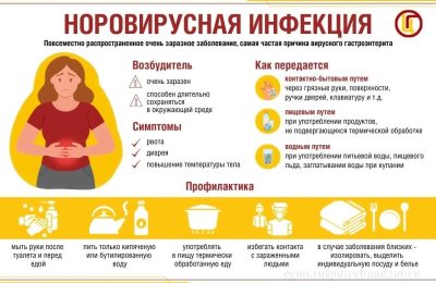 Норовирус очень заразен: для возникновения заболевания достаточно 10 вирусных частиц