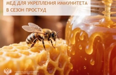 Дар природы для укрепления иммунитета