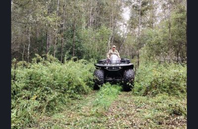 В Новосибирской области усилено патрулирование лесов в связи с активностью медведей