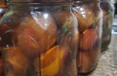 Слива на любой вкус
