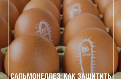Как защититься от сальмонеллеза?