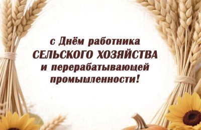 Спасибо за нелёгкий труд!