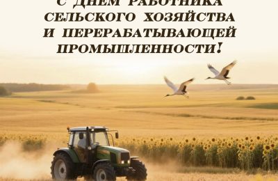 Уважаемые труженики и ветераны агропромышленного комплекса Доволенского муниципального округа!